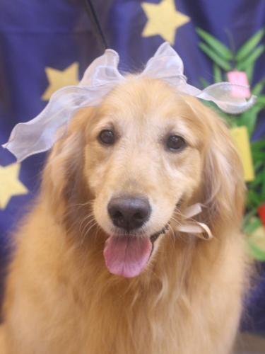 20230716ミッキーちゃん